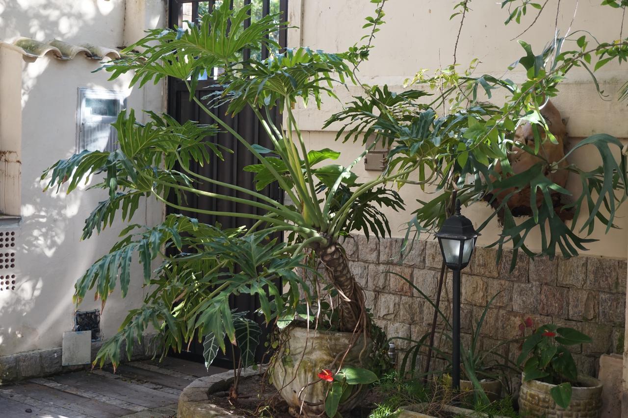 לינה וארוחת בוקר קאבו פריו Pouso Da Garca מראה חיצוני תמונה
